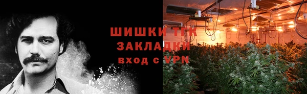 гашиш Богданович