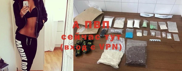 гашиш Богданович
