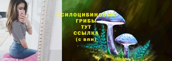 гашиш Богданович