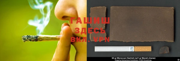 гашиш Богданович