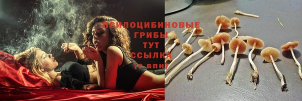прущий лед Богородицк