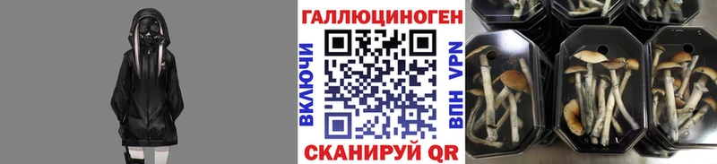 Галлюциногенные грибы Cubensis  Пестово 